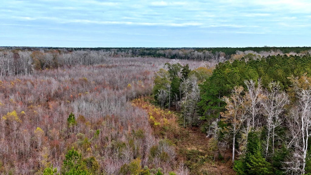 1215 Sandy Run Circle, Summerville