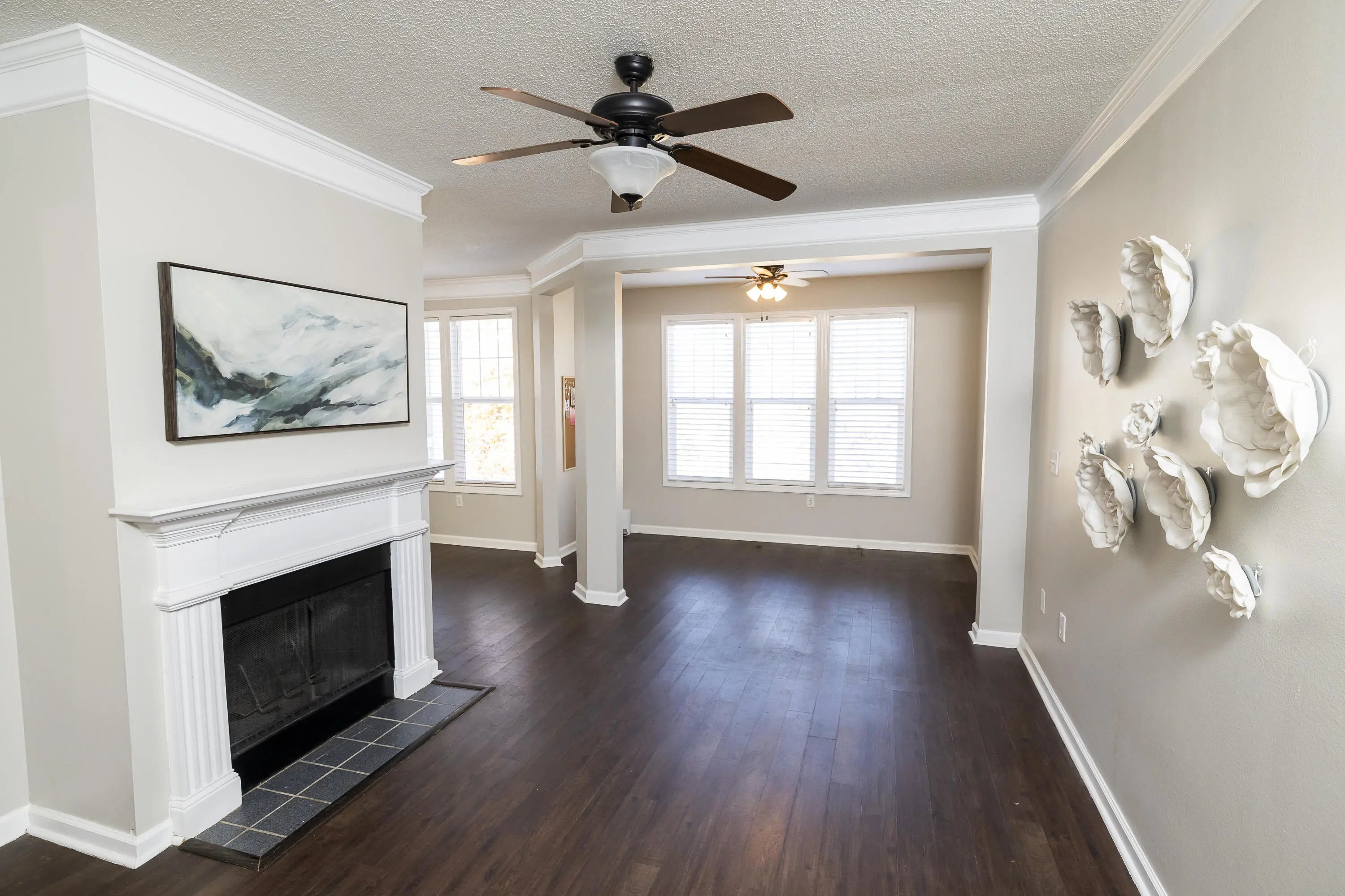 Photo of Listing #24031317