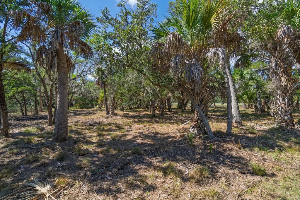 35 Hammocks Way, Edisto Island