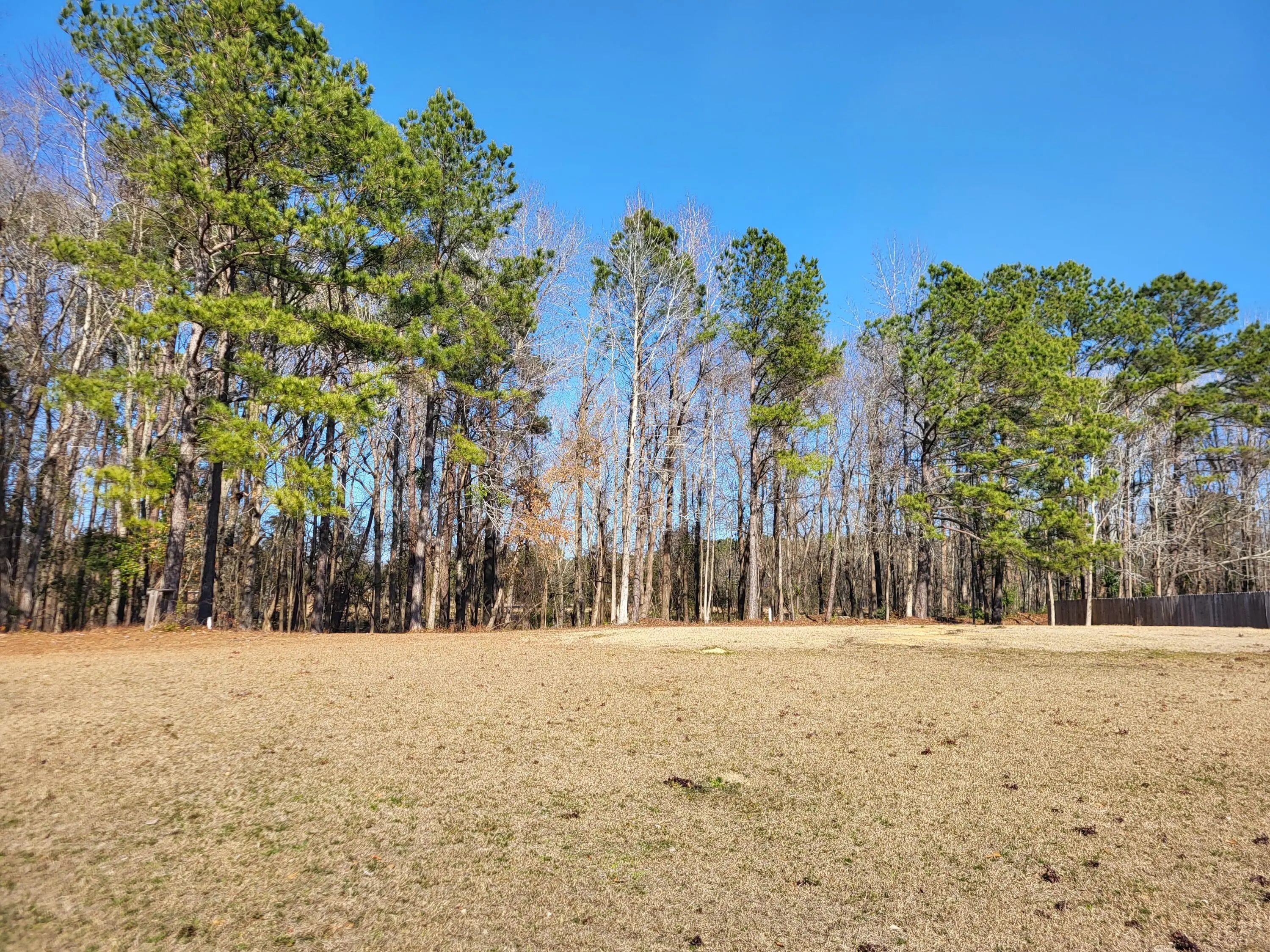 Lot 2 Santee Lumber Road, Santee, SC, 29142