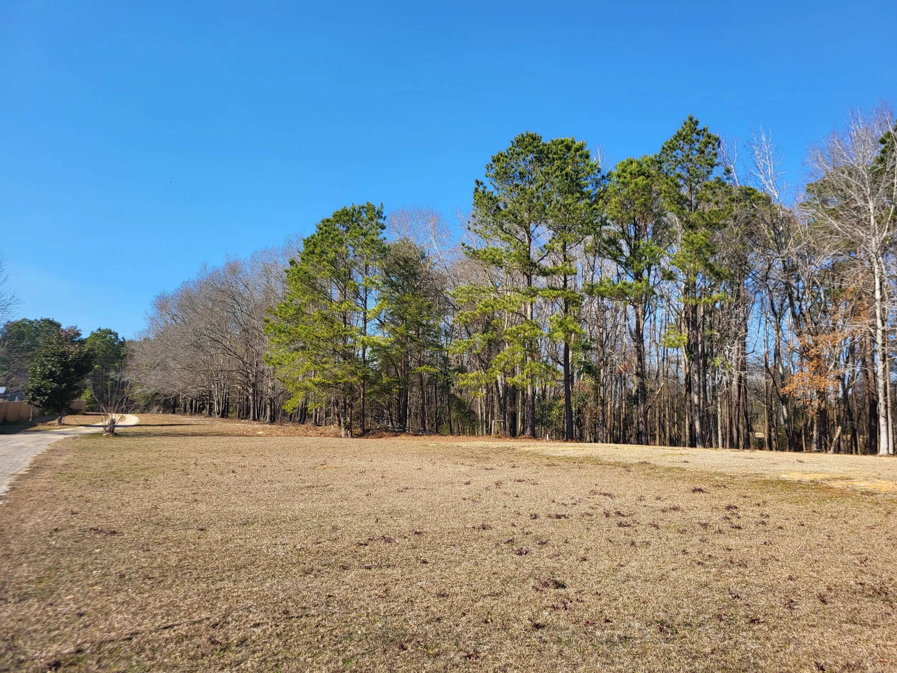 Lot 2 Santee Lumber Road, Santee, SC, 29142