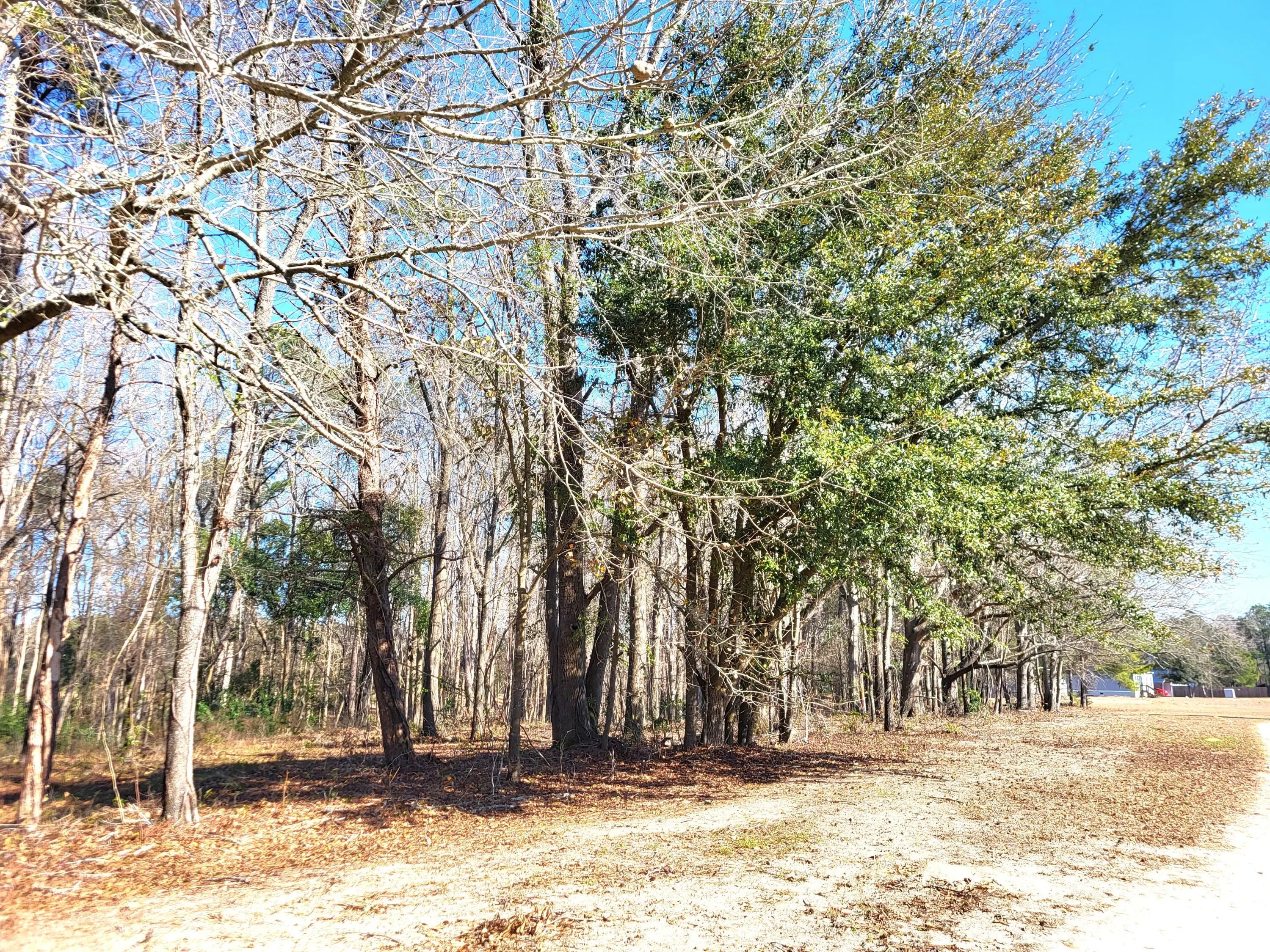 Lot 2 Santee Lumber Road, Santee, SC, 29142