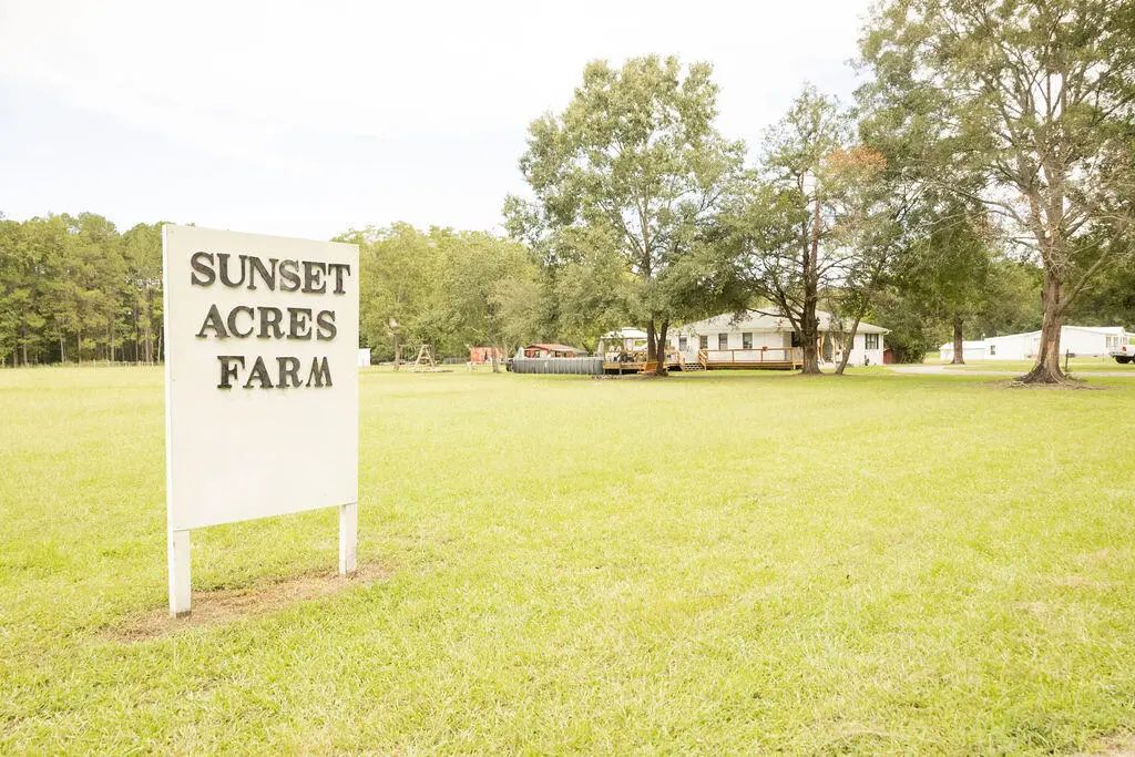 10007 Jacksonboro Road, Cottageville