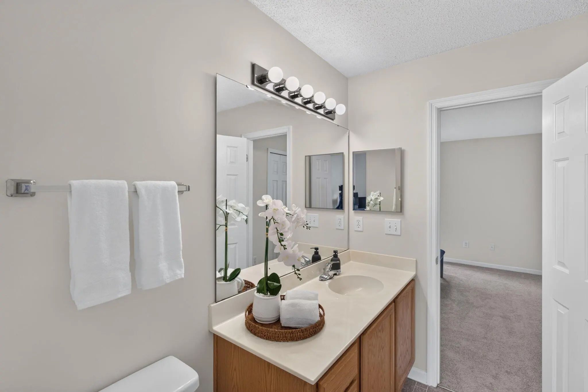 303 Tree Branch Circle, Summerville, SC, 29483