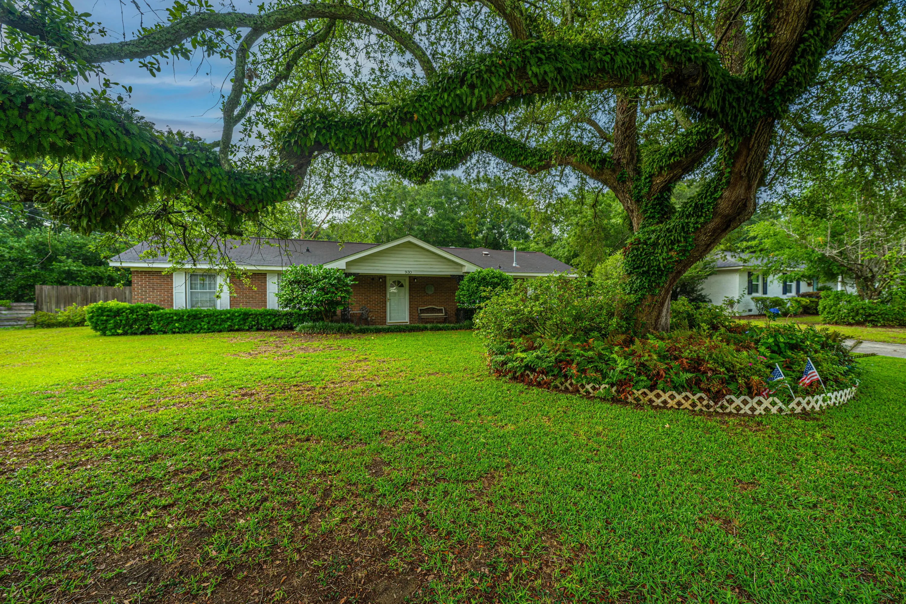 Photo of Listing #25014776