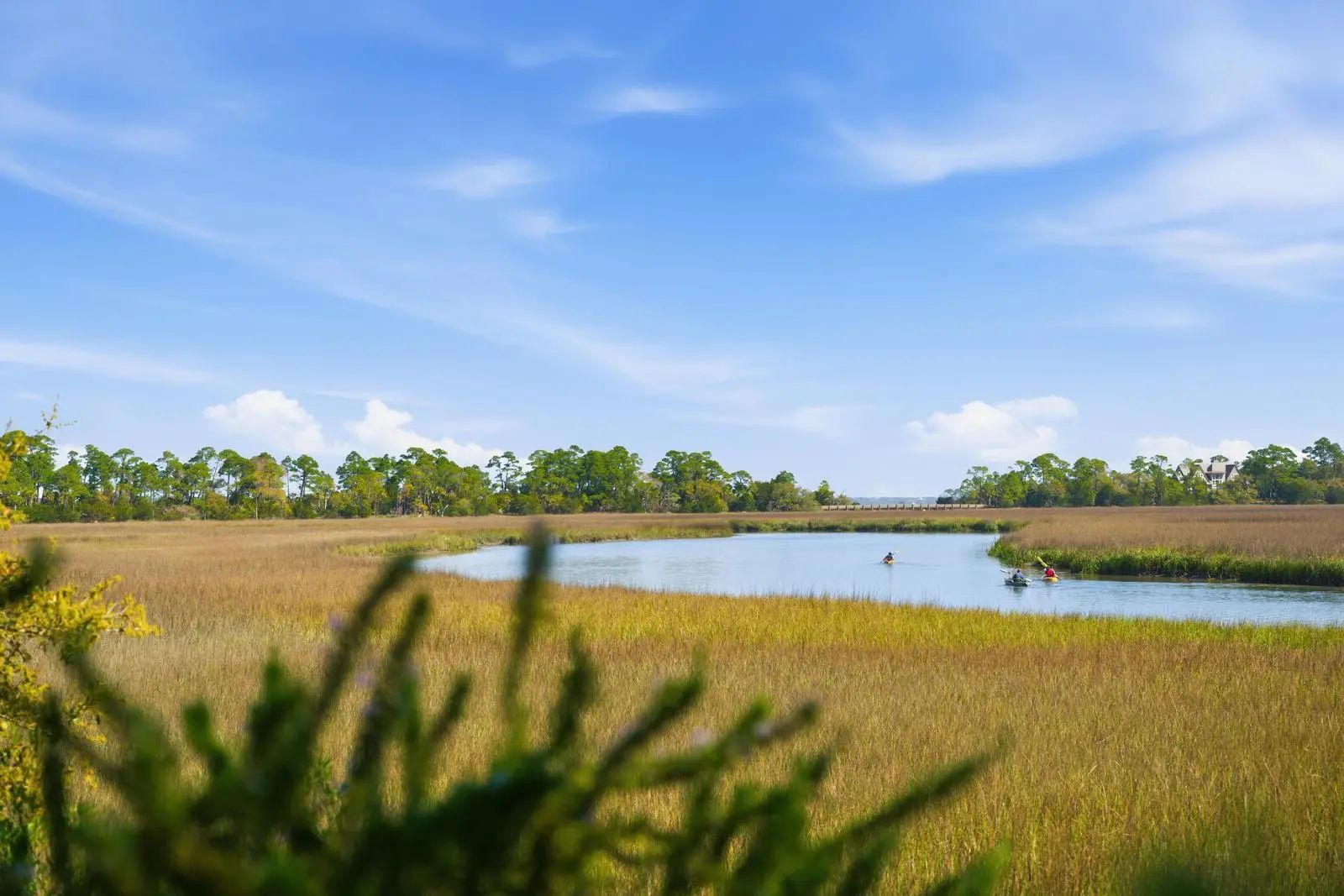 23 Cormorant Island Lane, Kiawah Island, SC, 29455