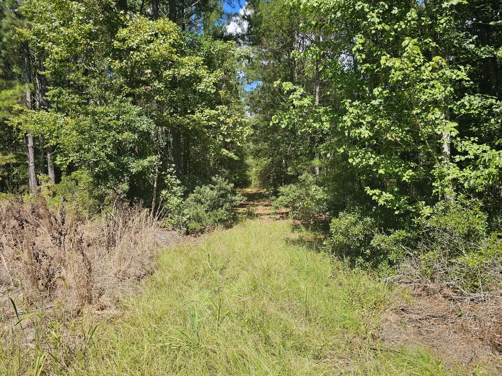 Mcalhany Road, Reevesville