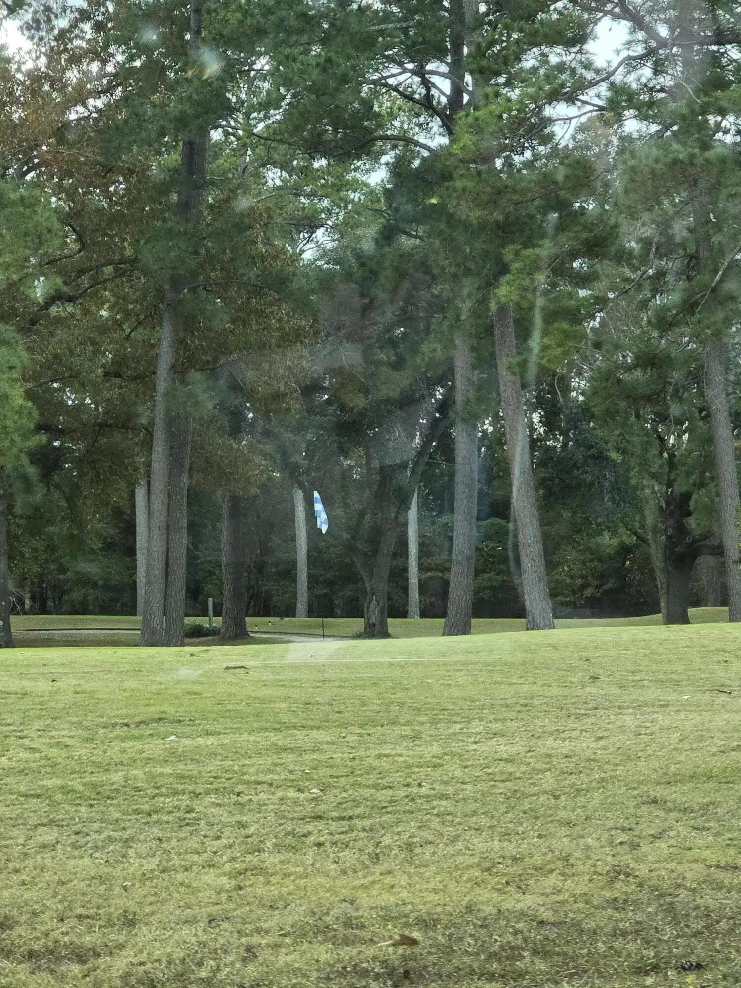 N/A, Santee, SC, 29142