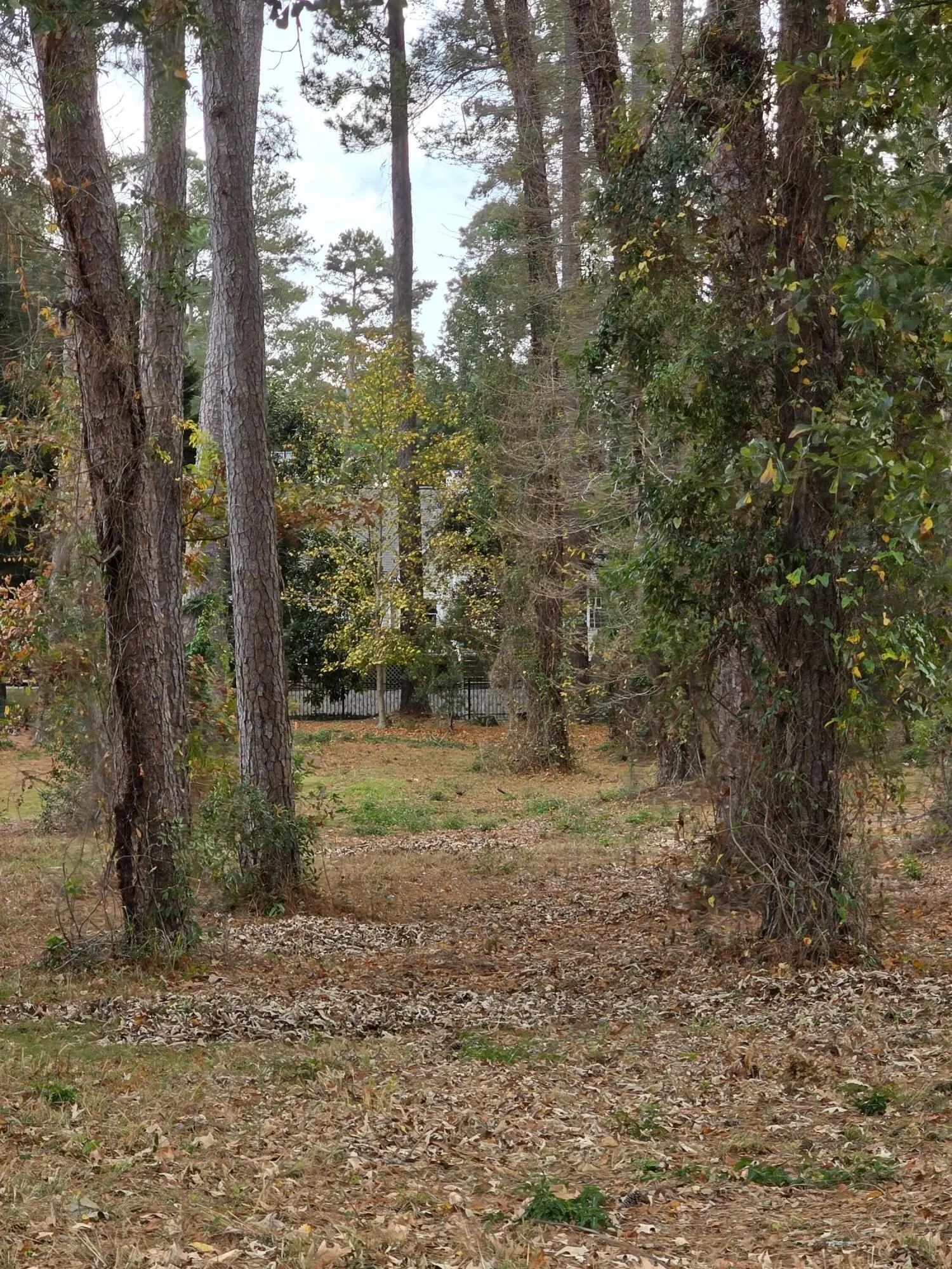 N/A, Santee, SC, 29142