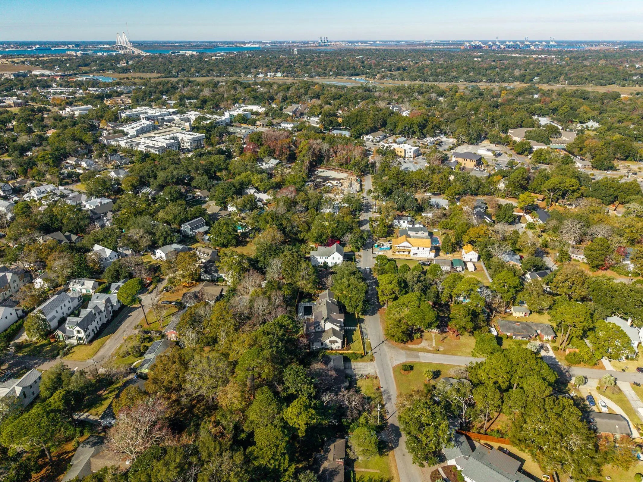 1335 Erckmann Drive, Mount Pleasant, SC, 29464