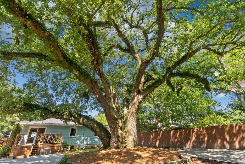 5114 Braddock Avenue, North Charleston
