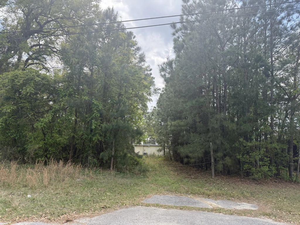 Old Back River Road Road, Goose Creek