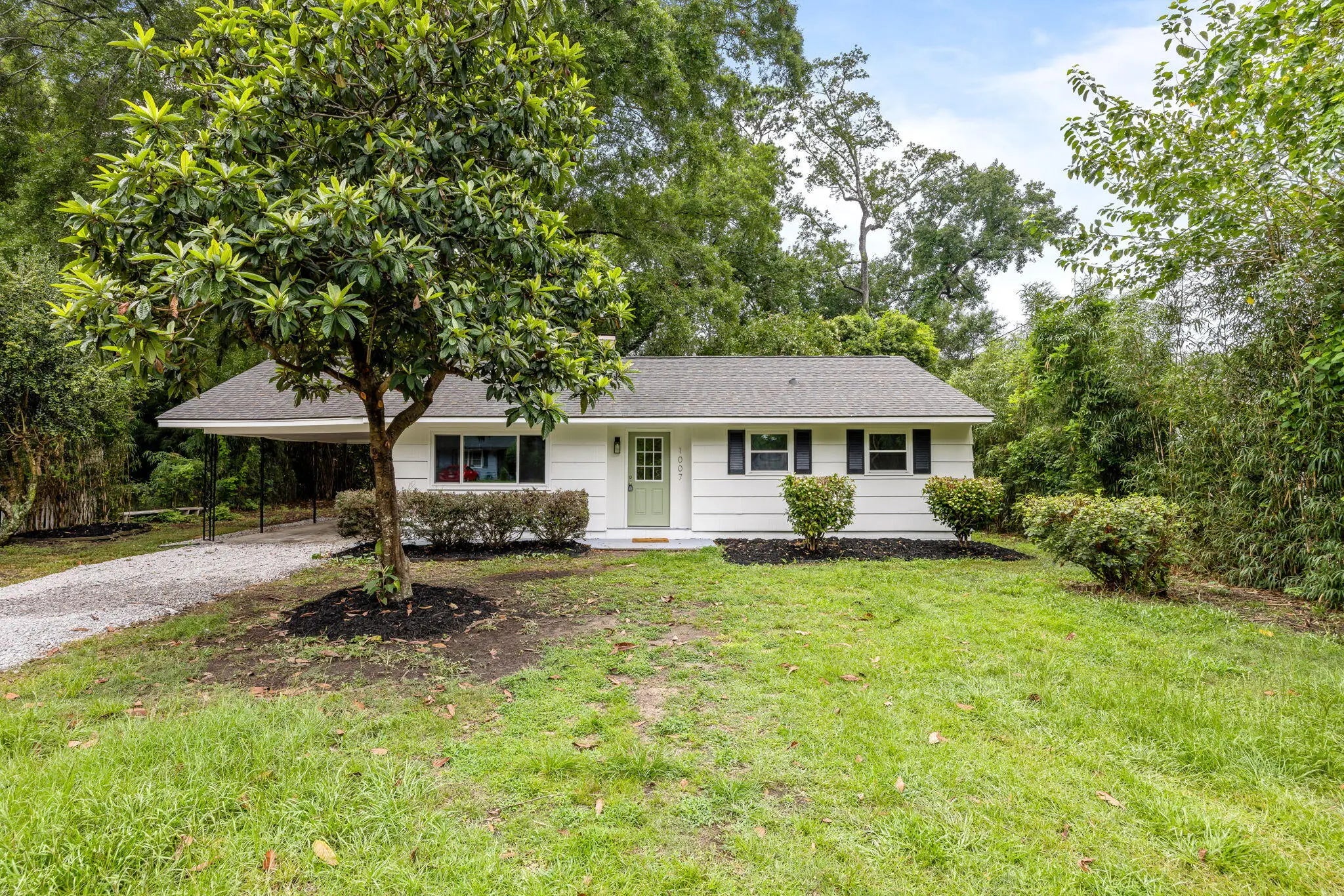 Photo of Listing #25019247