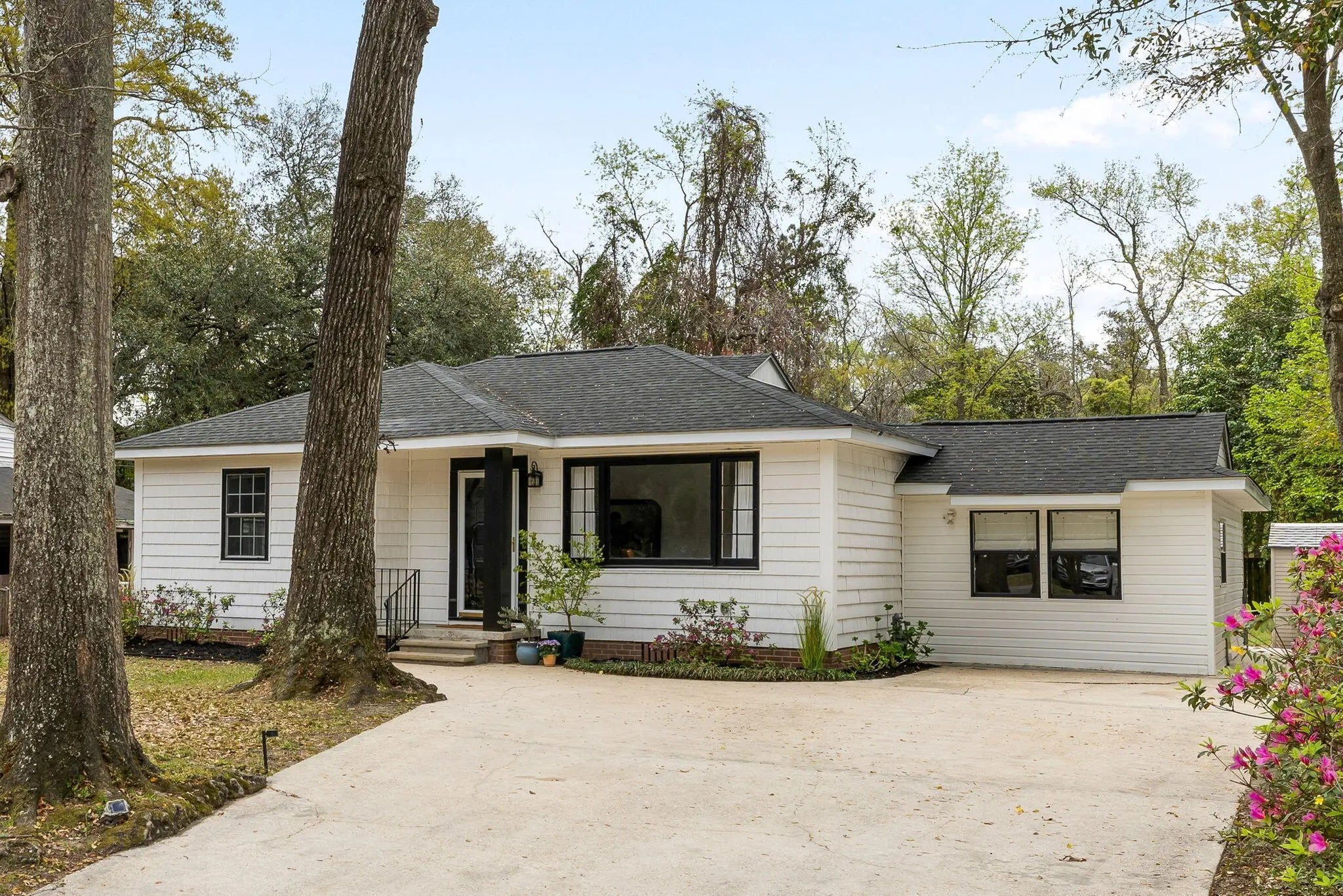 Photo of Listing #25007919