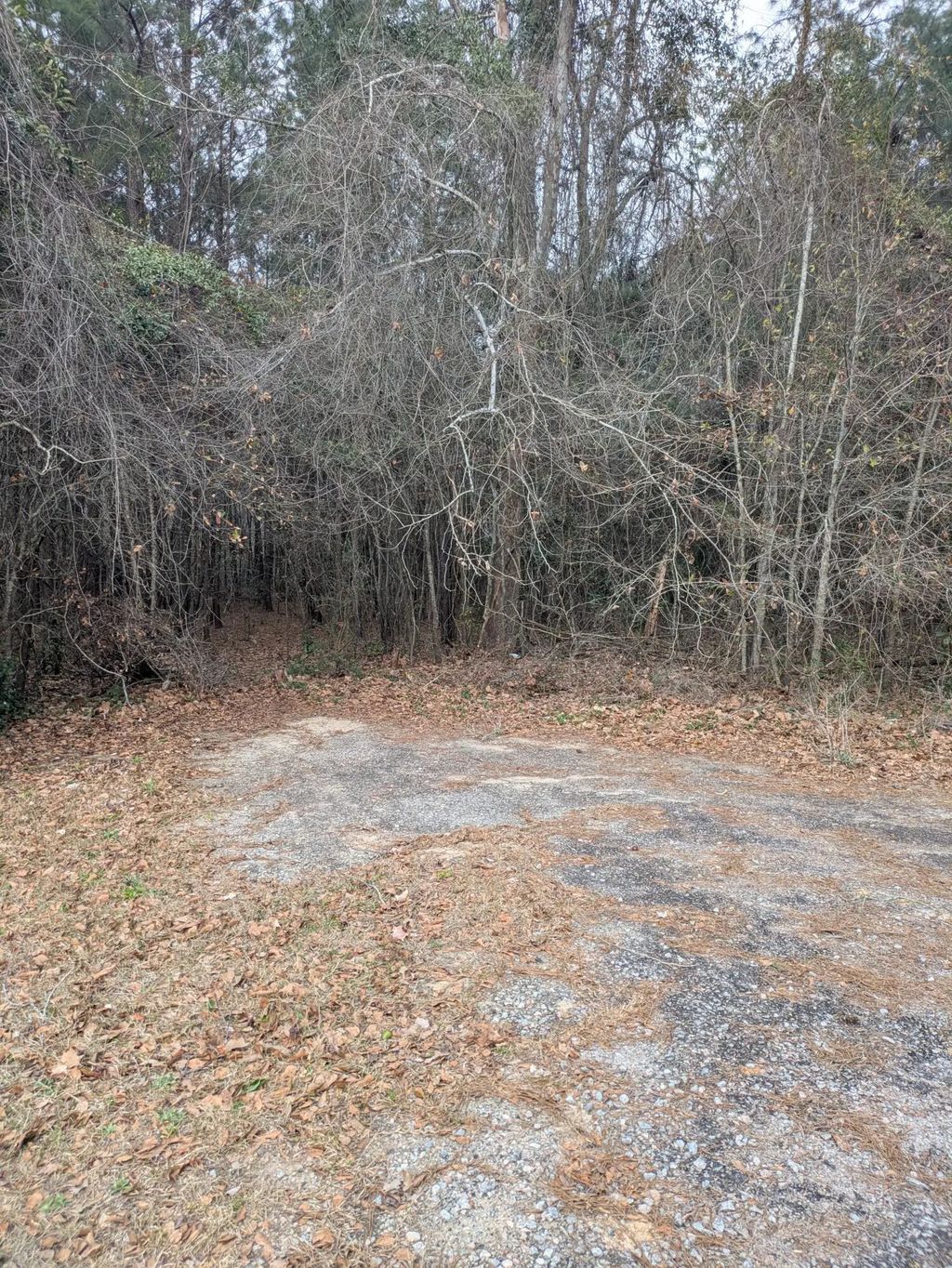 N Jefferies Boulevard, Walterboro