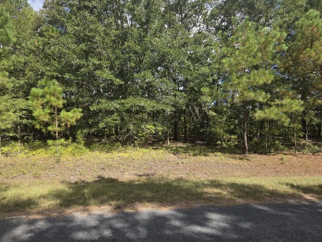 Photo of Prospect Street, Bowman SC