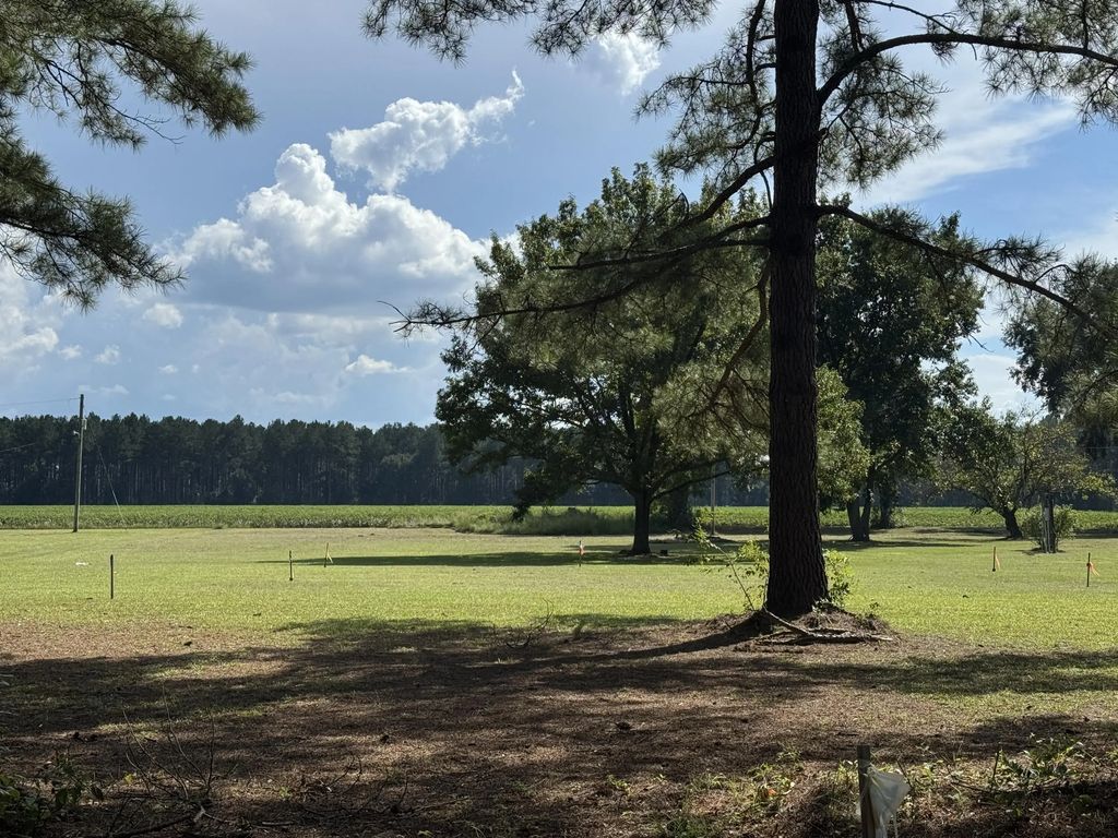 Caw Caw Swamp, Brunson