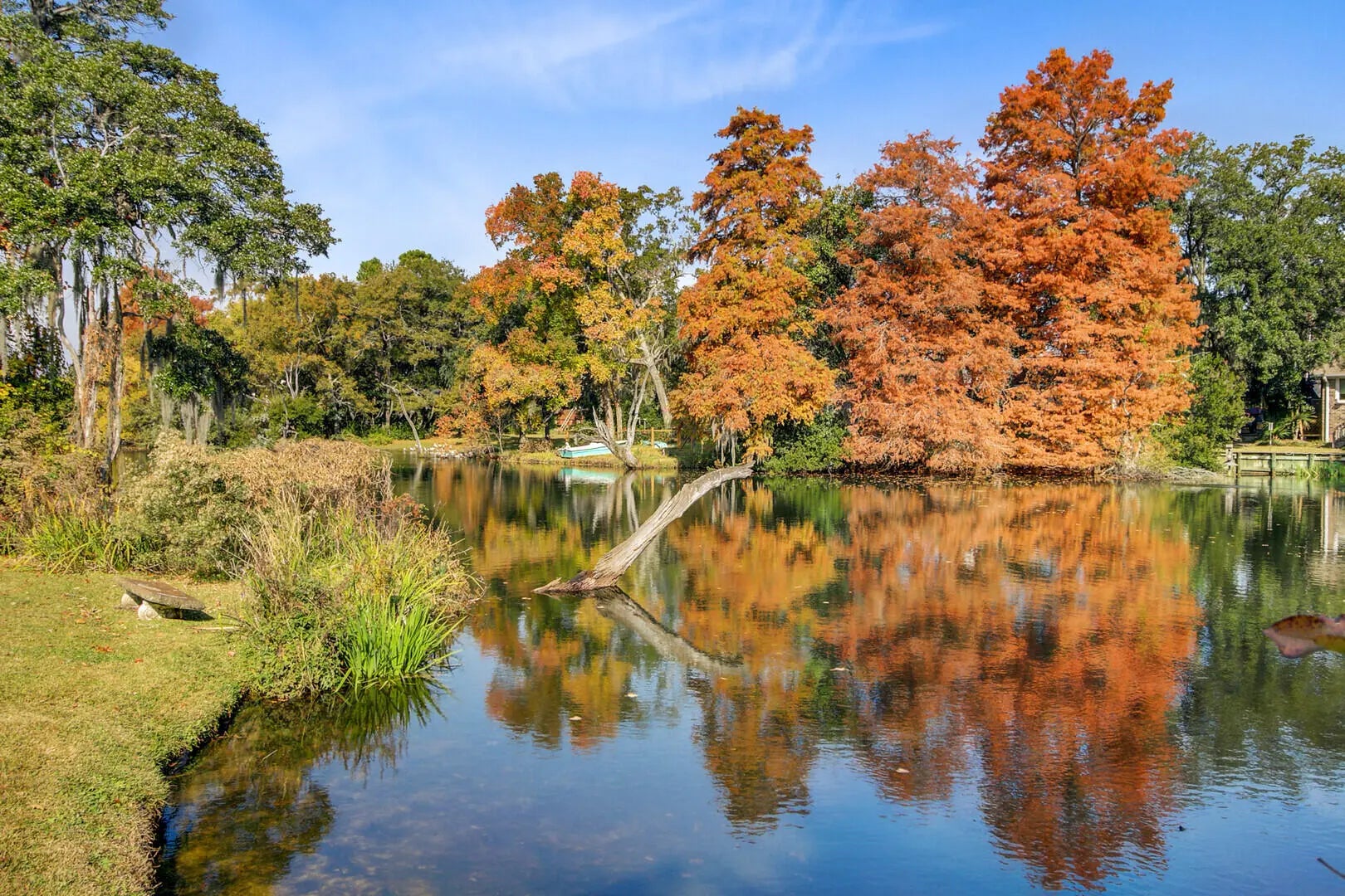 Photo of Listing #25030719