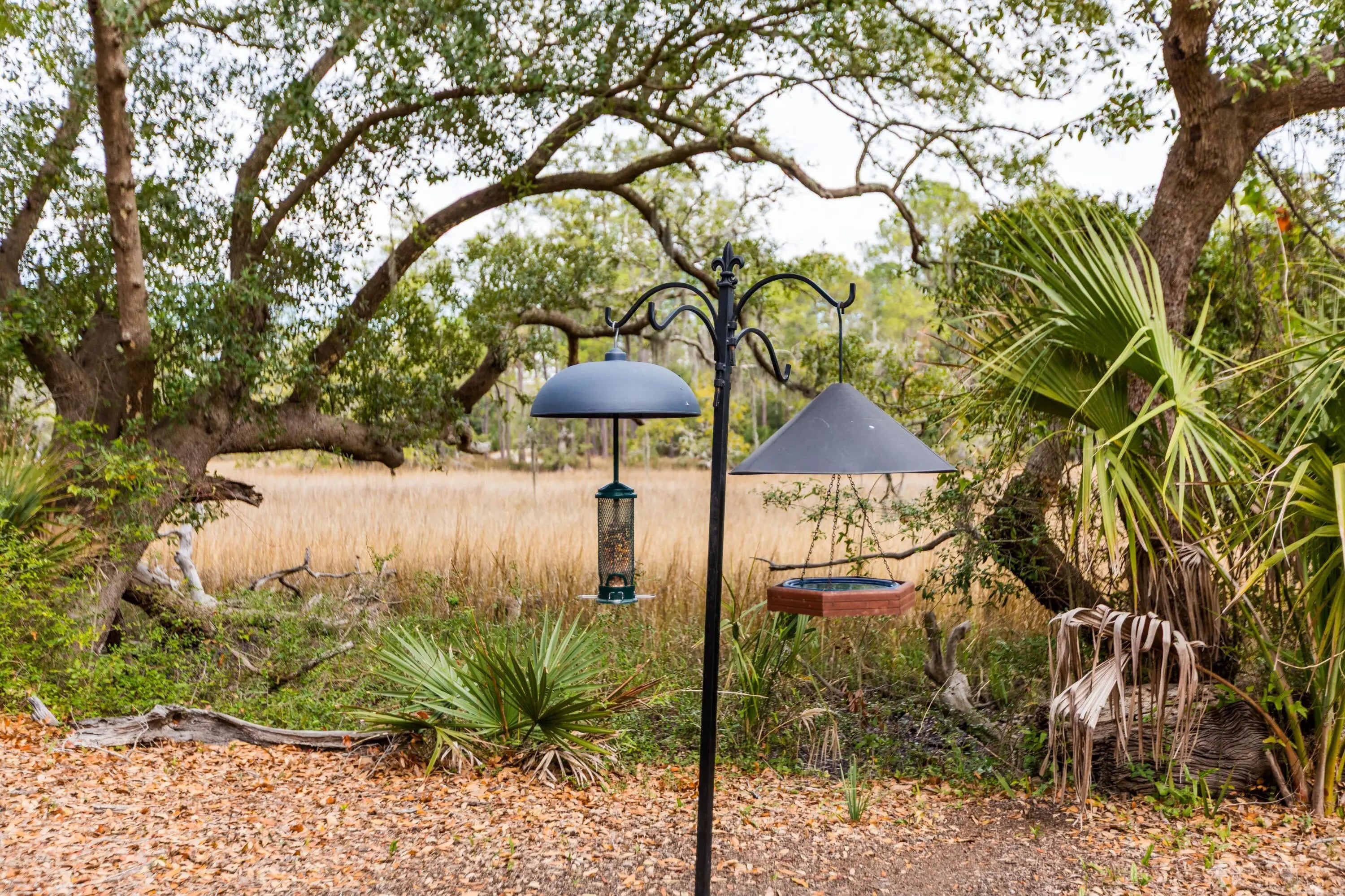 Photo of Listing #25021492