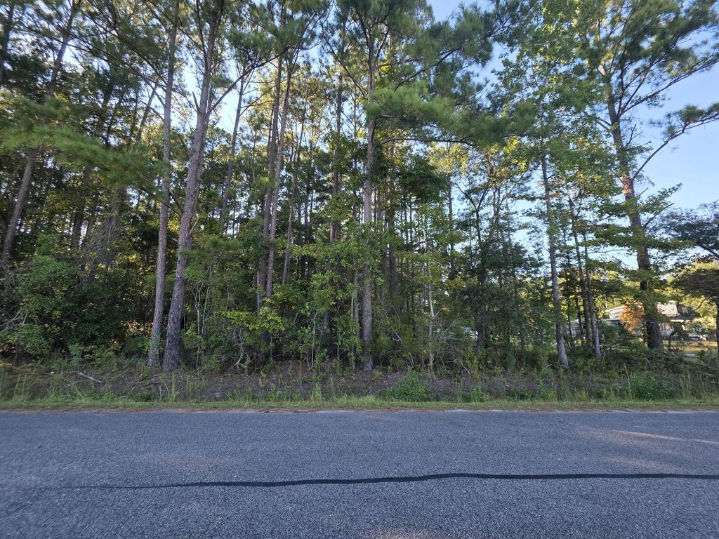 Buck Drive, Georgetown