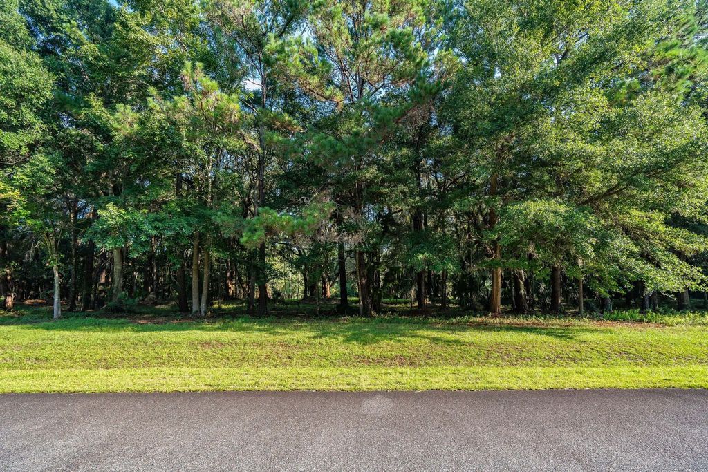 4132 Gnarled Oaks Lane 54, Johns Island