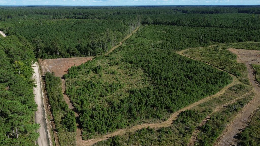 3 Bethel Forest Road, Rowesville