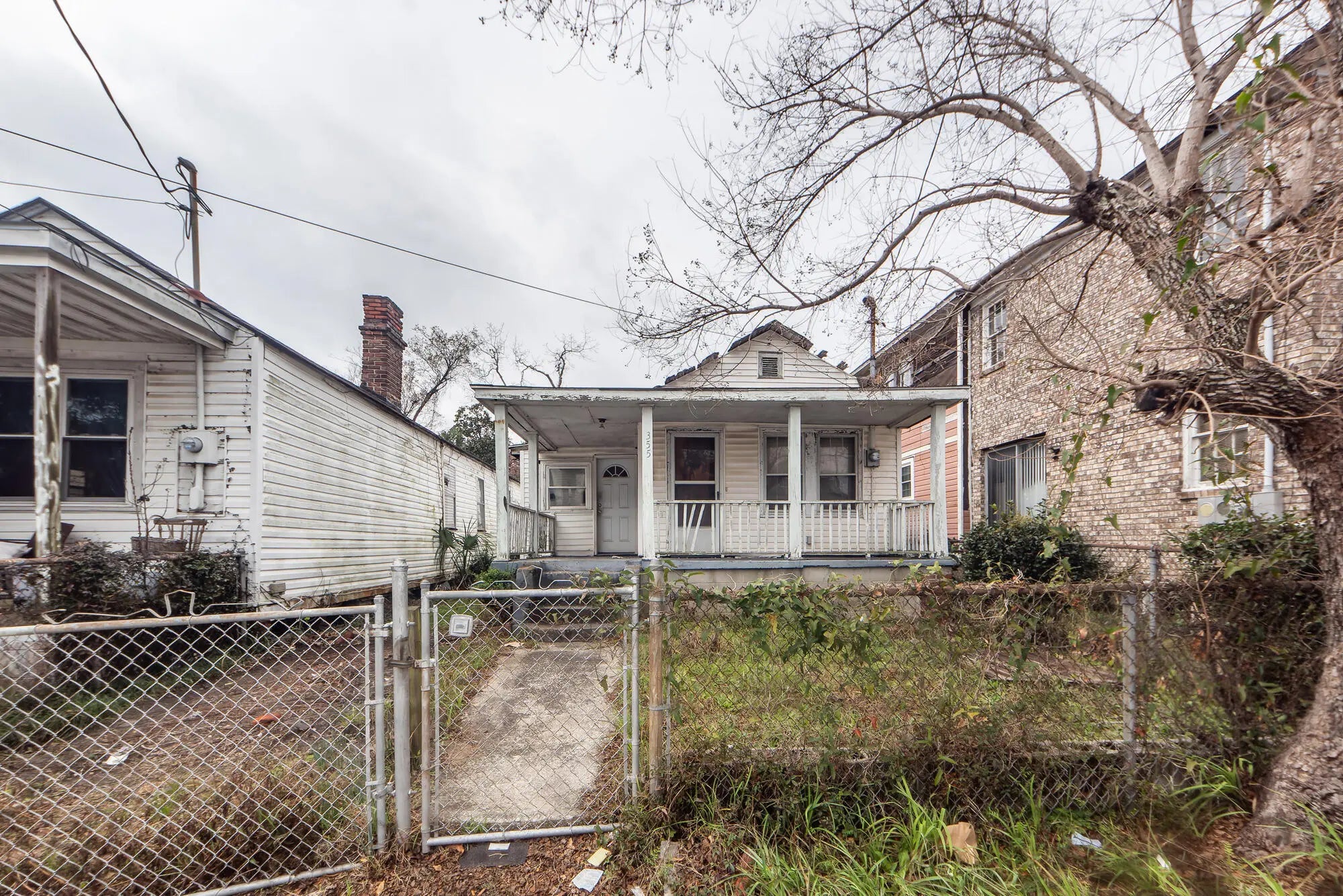 Photo of Listing #25005068