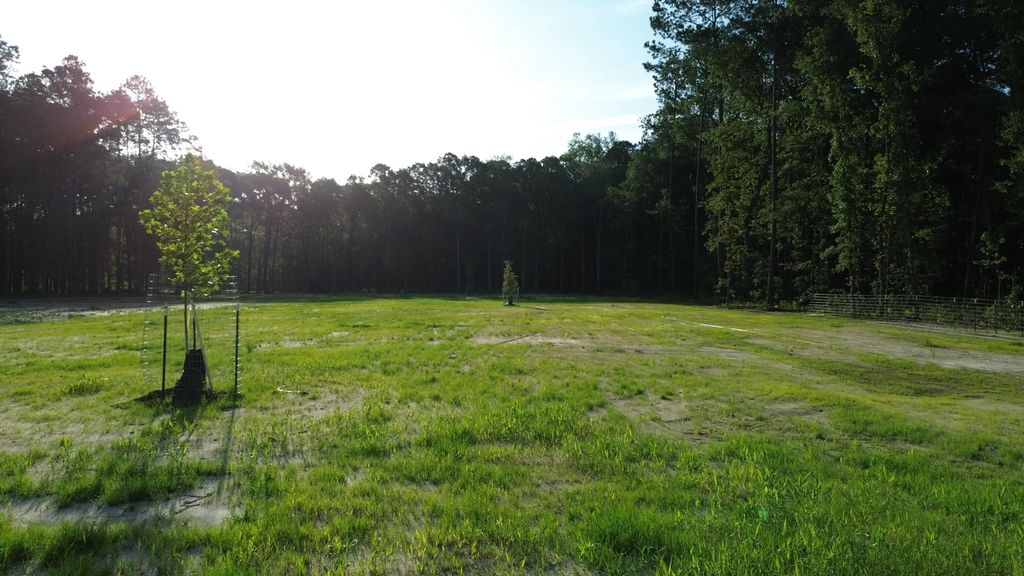 379 Fish Road Estates Lane, Ridgeville