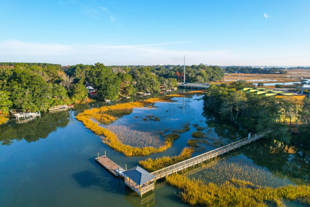 826 Curved Creek Court, Charleston