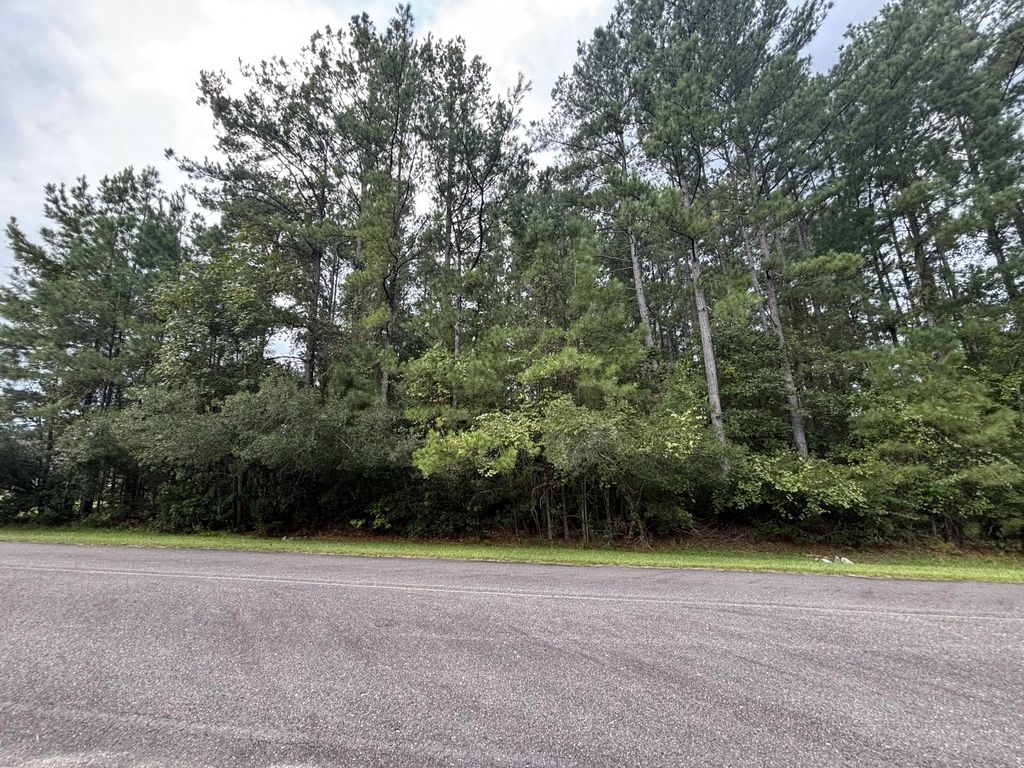 1128 Plantation Overlook, Moncks Corner