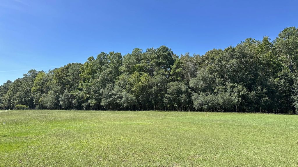 371 Austin Swamp Lane, Ridgeville