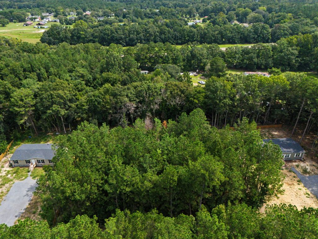 Firethorn Court, Eutawville