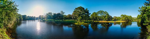 Photo of Hazelhurst Lane, Ravenel SC