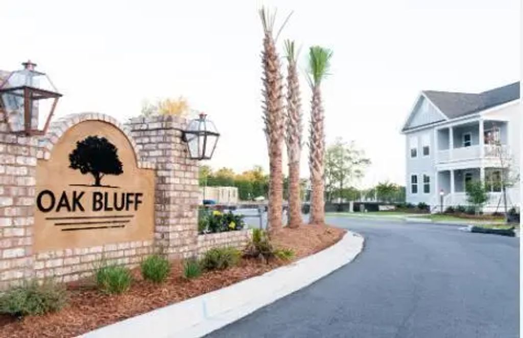 1126 Burkets Bend Lane, Charleston