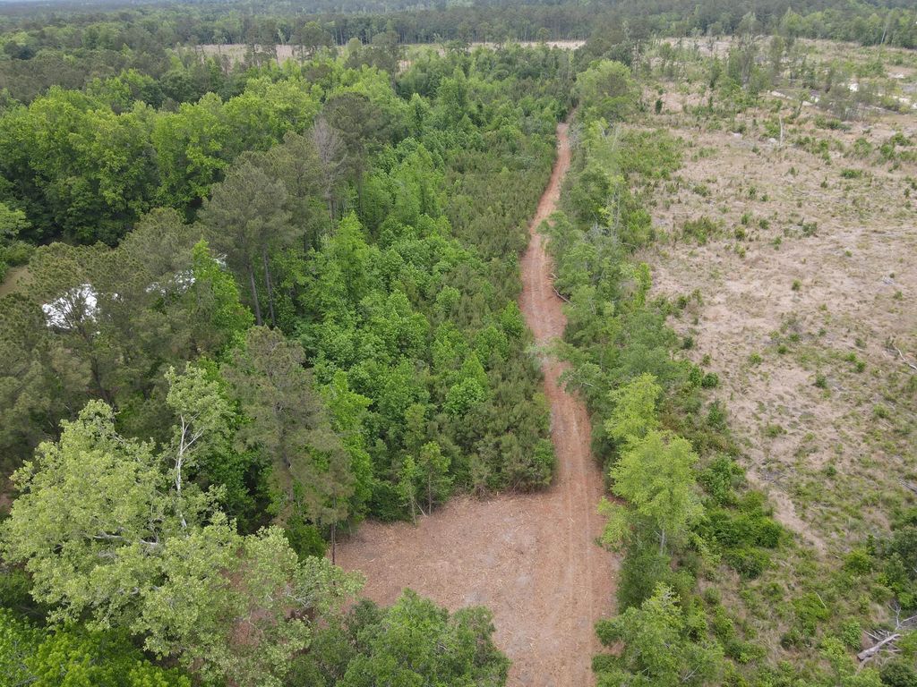 Varnadoe Road, Islandton