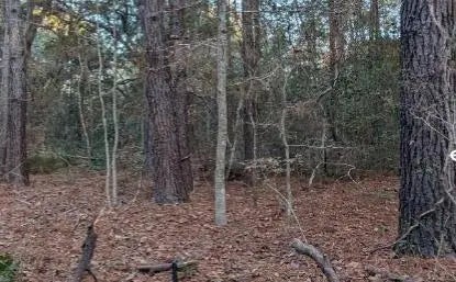 Photo of 1981 Liberia Road, Wadmalaw Island SC