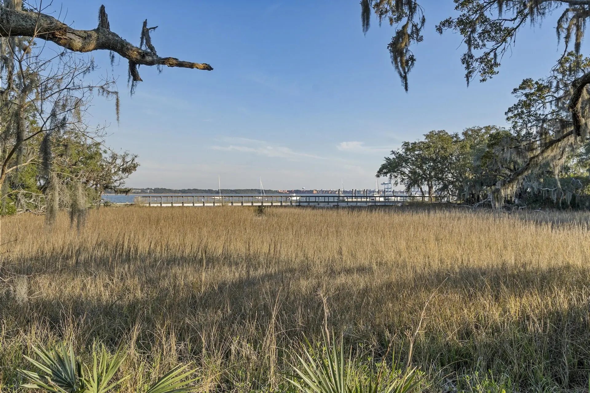 Photo of Listing #25005269