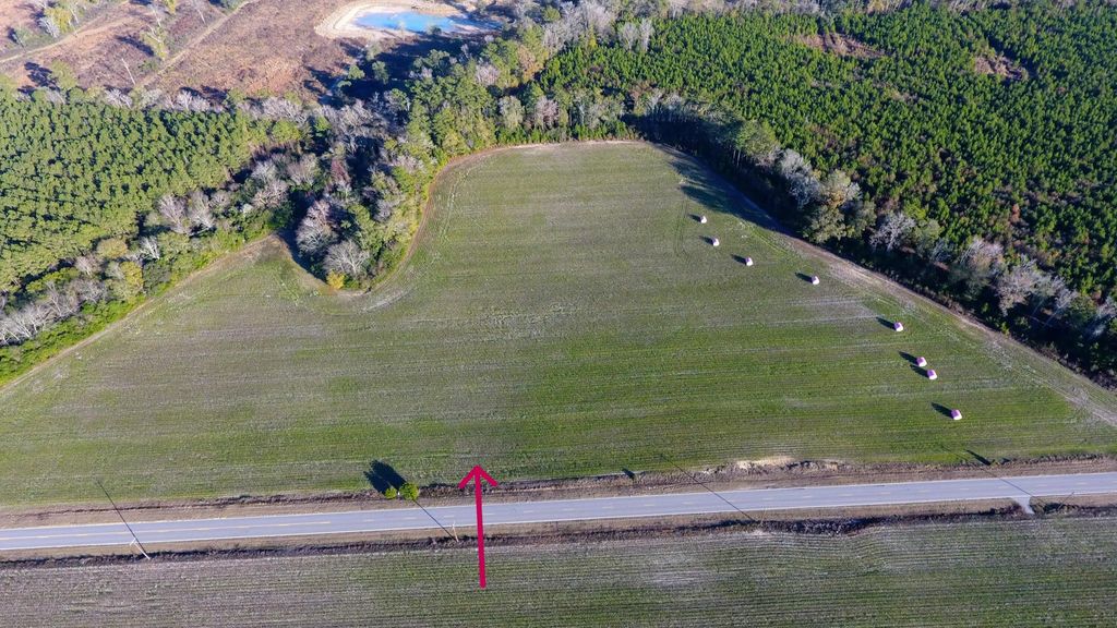Rocks Pond Road Lot S, Eutawville