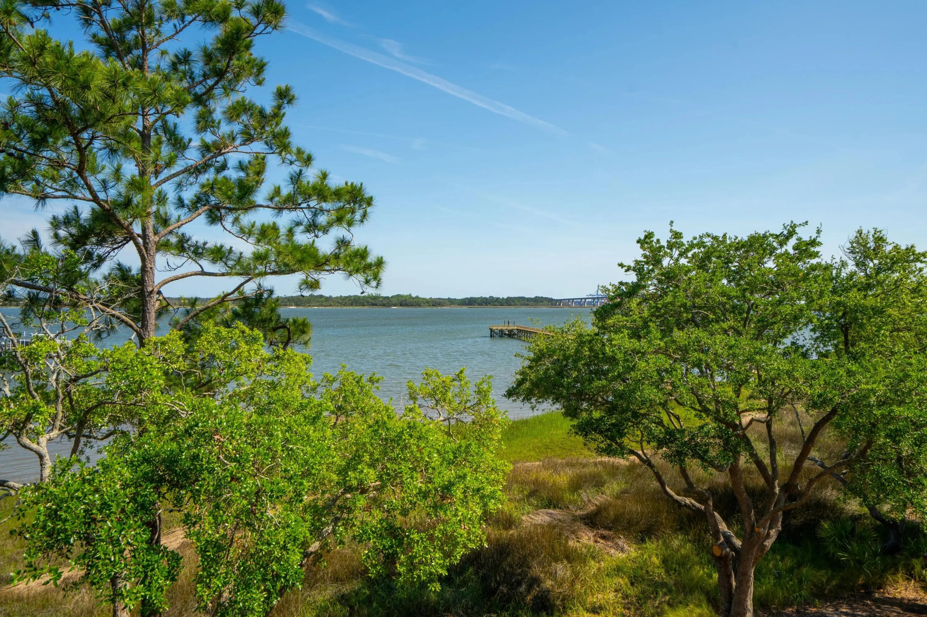 401 Wayfaring Point, Daniel Island, SC, 29492