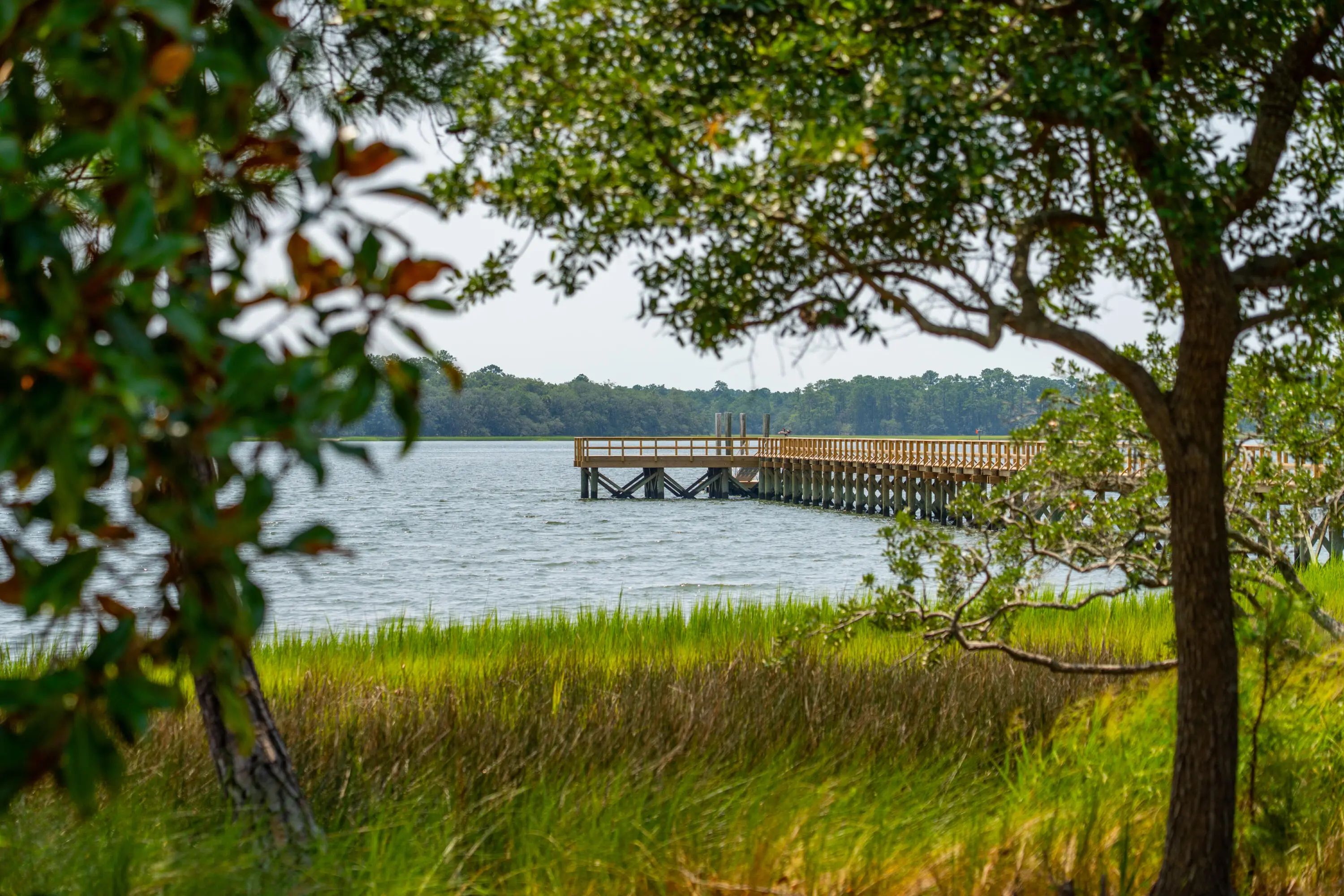 401 Wayfaring Point, Daniel Island, SC, 29492