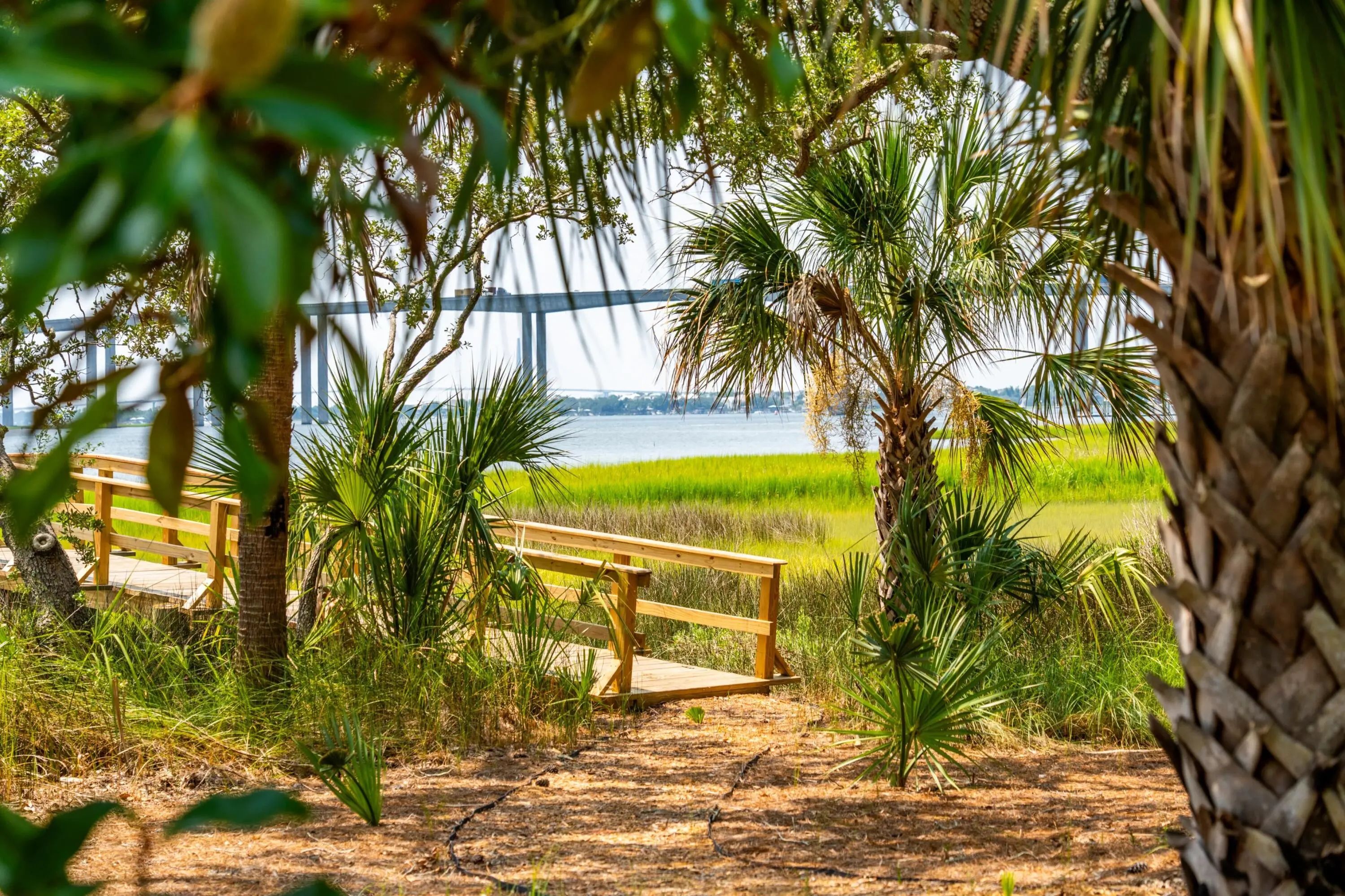 401 Wayfaring Point, Daniel Island, SC, 29492