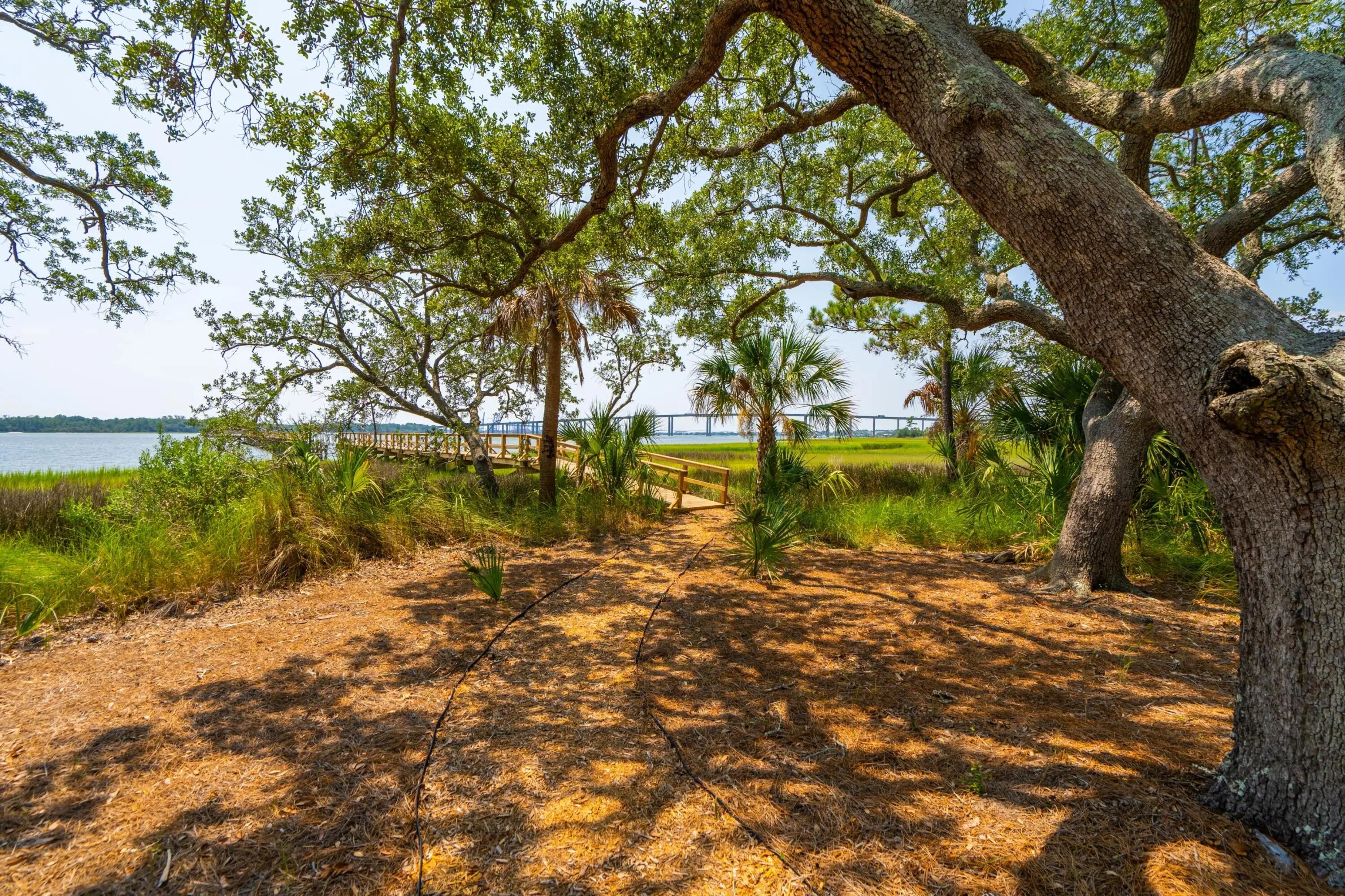 401 Wayfaring Point, Daniel Island, SC, 29492