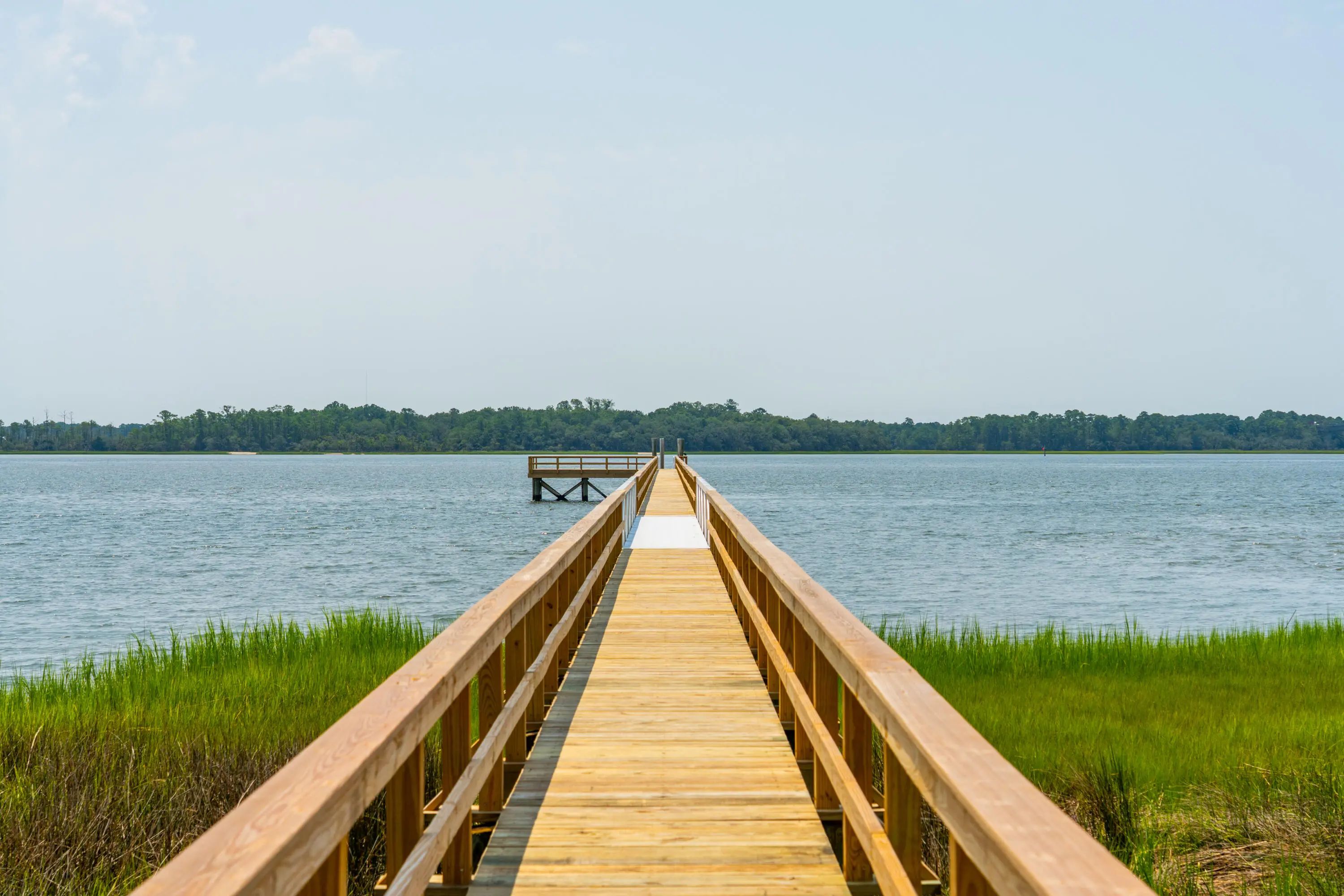 401 Wayfaring Point, Daniel Island, SC, 29492