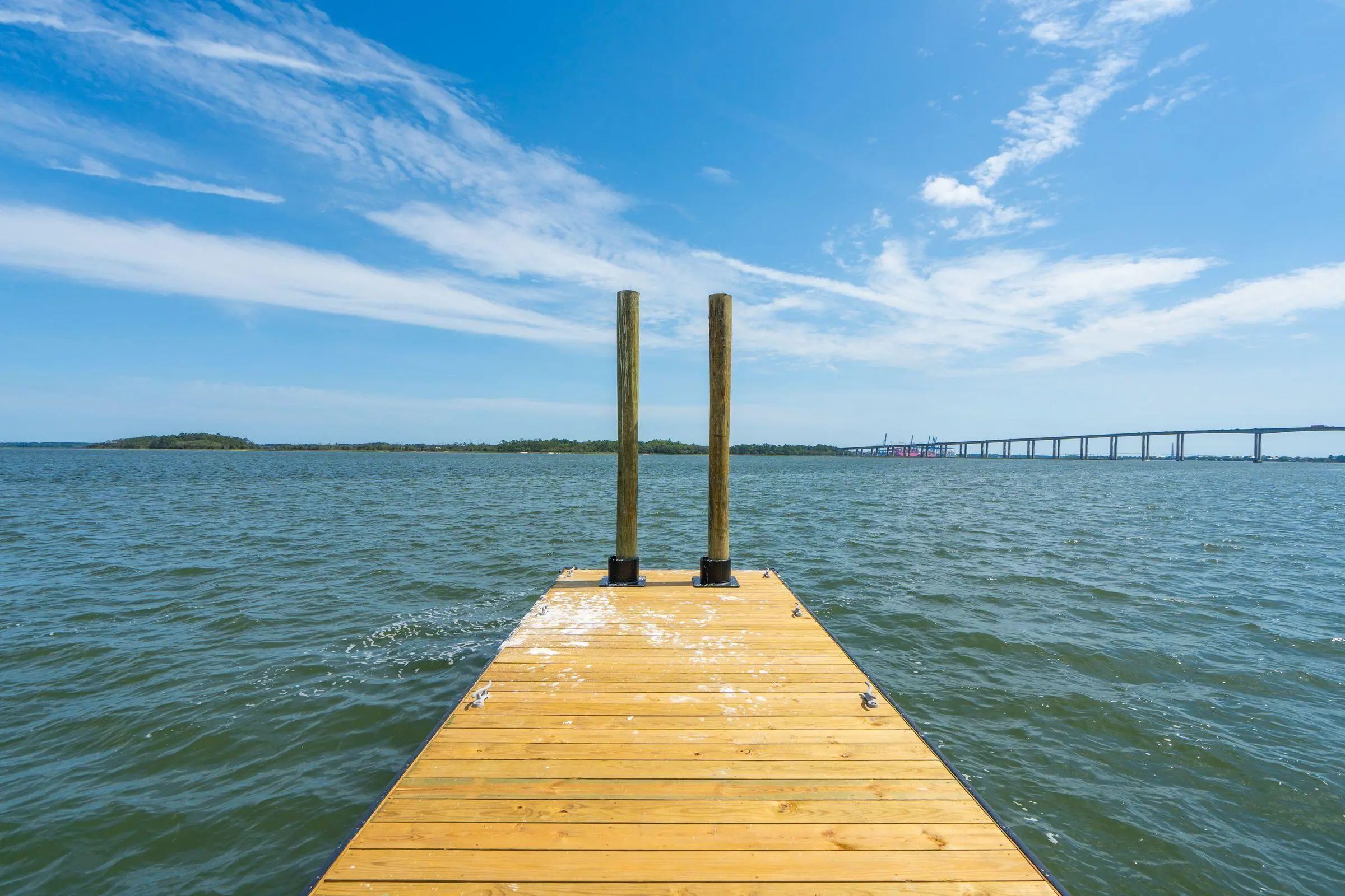 401 Wayfaring Point, Daniel Island, SC, 29492