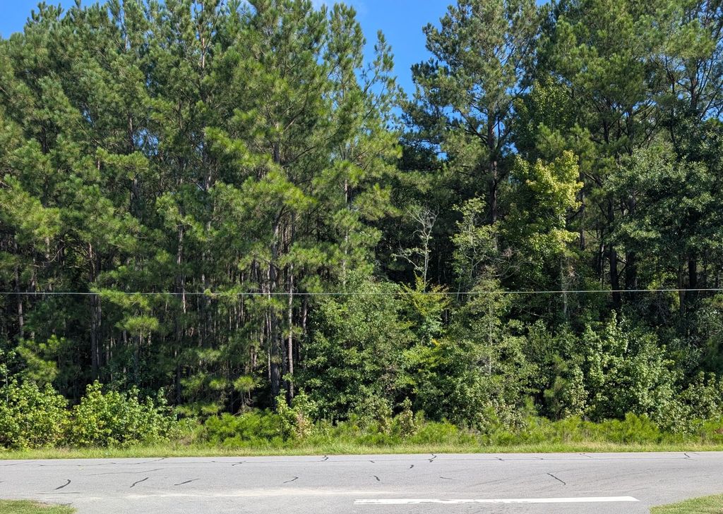 Prices Bridge Lane, Walterboro