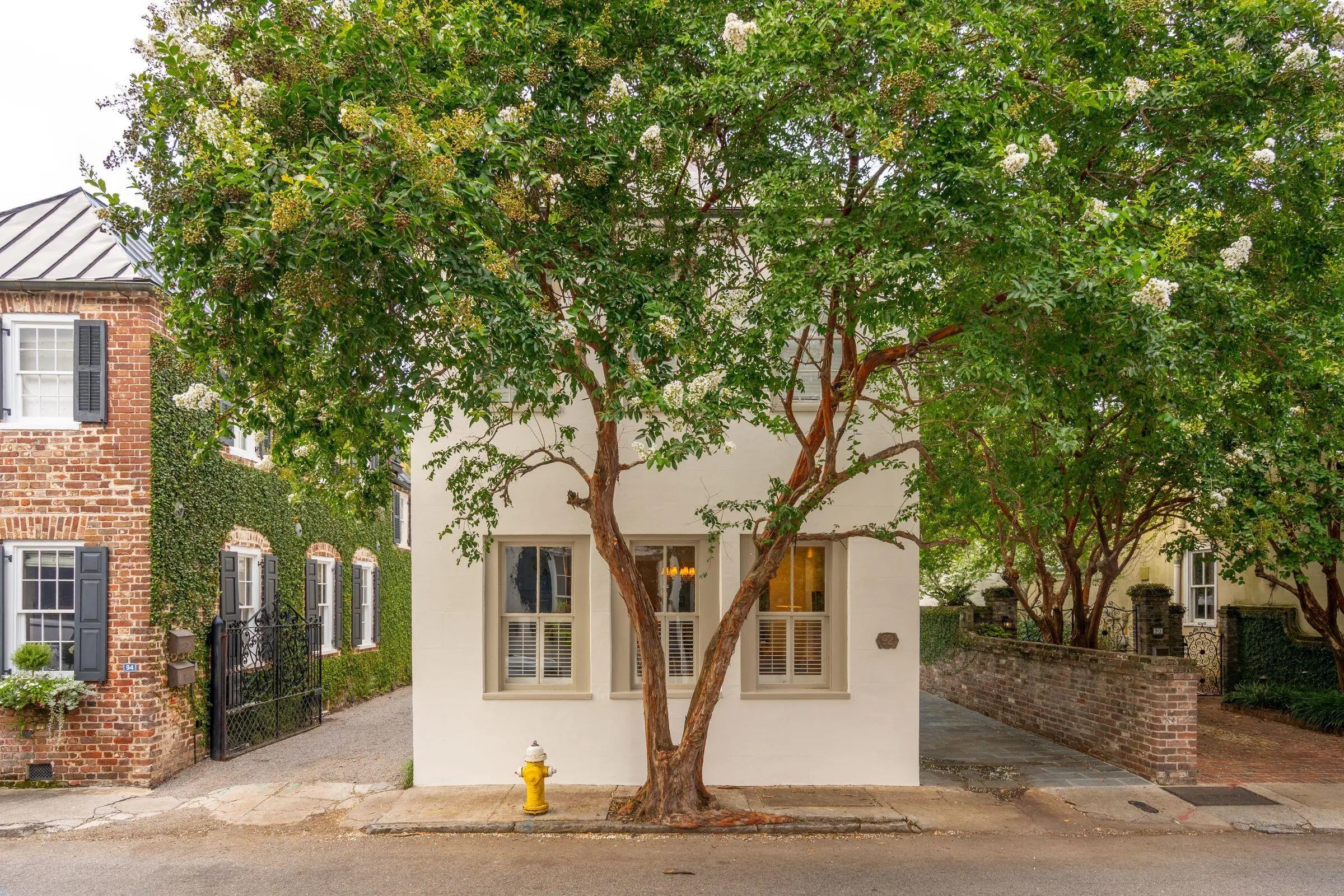 Photo of Listing #25020099