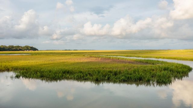 Photo of 628 Parrot Point Drive, Charleston SC