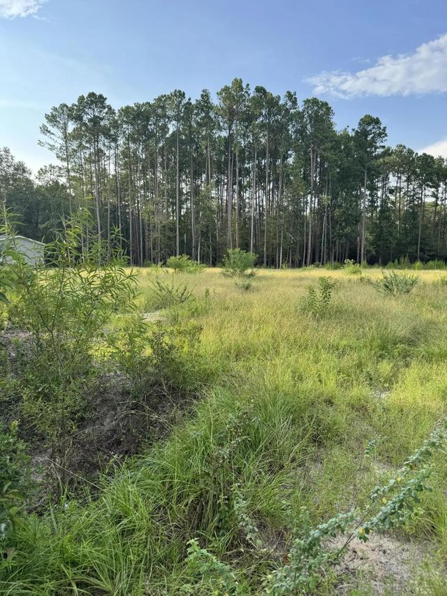 Photo of Saturn, Walterboro SC