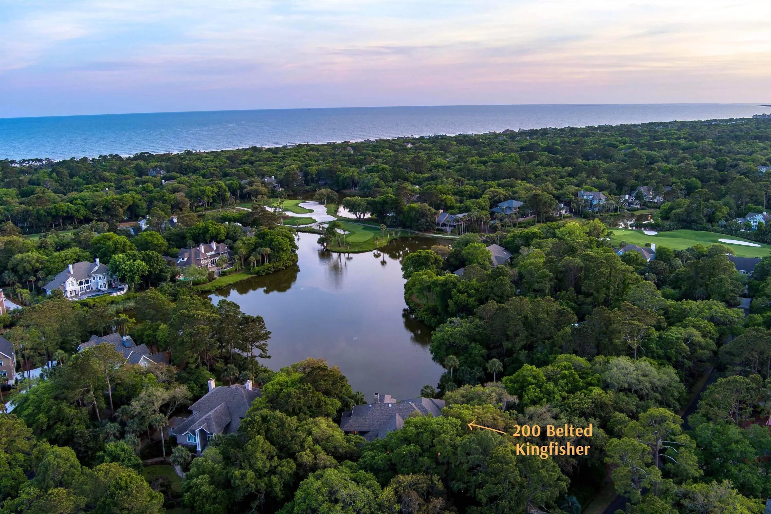 Photo of Listing #25013643