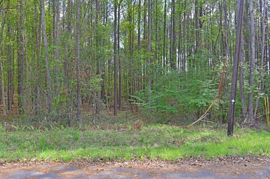 Ridgelake(lot 29) Circle, Saint Matthews